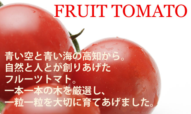 高知産フルーツトマト
